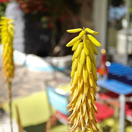 ヴィラ Fani 3 アグイメス