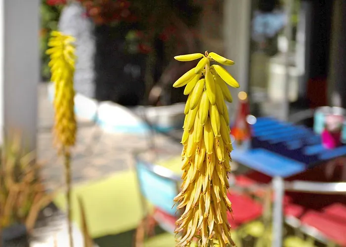 Villa Fani 3 Agüimes